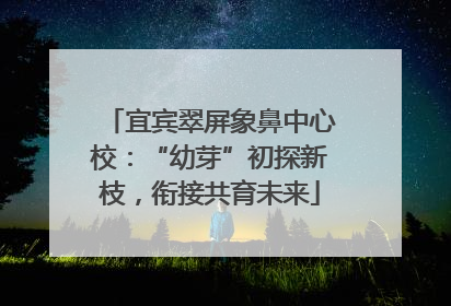 宜宾翠屏象鼻中心校：“幼芽”初探新枝，衔接共育未来