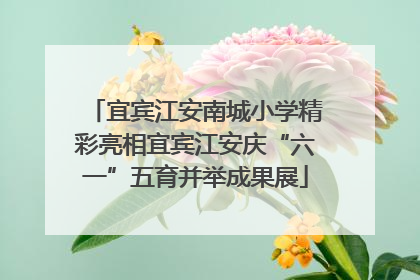 宜宾江安南城小学精彩亮相宜宾江安庆“六一”五育并举成果展