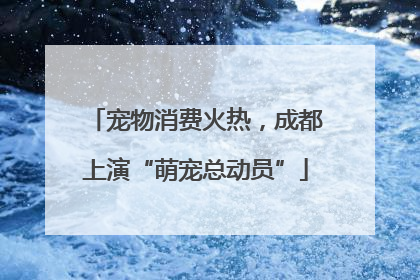 宠物消费火热，成都上演“萌宠总动员”