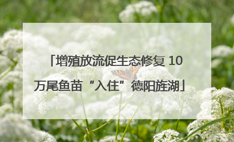 增殖放流促生态修复 10万尾鱼苗“入住”德阳旌湖
