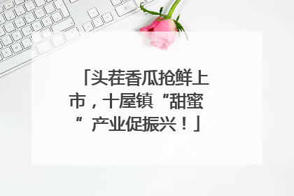 头茬香瓜抢鲜上市，十屋镇“甜蜜”产业促振兴！