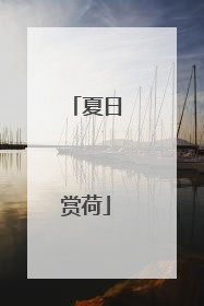夏日赏荷