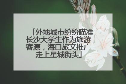 外地城市纷纷瞄准长沙大学生作为旅游客源，海口旅文推广走上星城街头