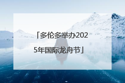 多伦多举办2025年国际龙舟节
