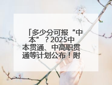 多少分可报“中本”？2025中本贯通、中高职贯通等计划公布！附2024分数线