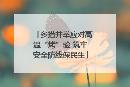 多措并举应对高温“烤”验 筑牢安全防线保民生