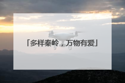 多样秦岭，万物有爱