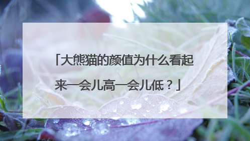 大熊猫的颜值为什么看起来一会儿高一会儿低？