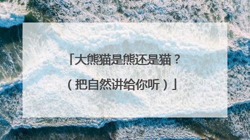 大熊猫是熊还是猫？（把自然讲给你听）