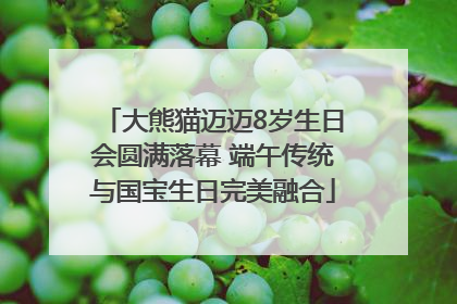 大熊猫迈迈8岁生日会圆满落幕 端午传统与国宝生日完美融合