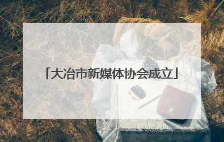 大冶市新媒体协会成立