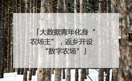 大数据青年化身“农场主”，返乡开设“数字农场”
