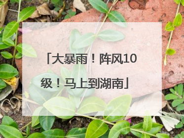 大暴雨！阵风10级！马上到湖南