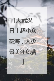 大武汉一日丨超小众花海，人少景美还免费