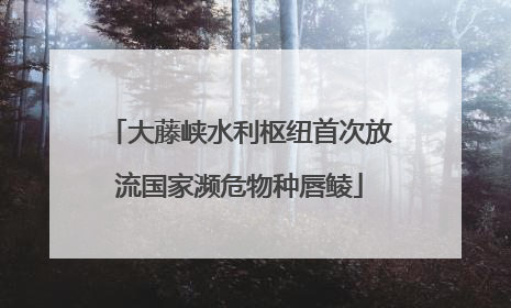 大藤峡水利枢纽首次放流国家濒危物种唇鲮