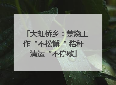 大虹桥乡：禁烧工作“不松懈“ 秸秆清运“不停歇