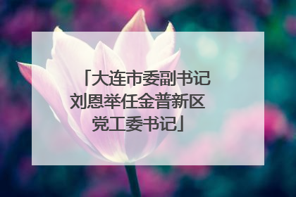 大连市委副书记刘恩举任金普新区党工委书记