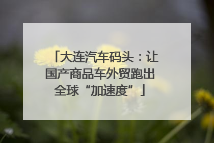 大连汽车码头：让国产商品车外贸跑出全球“加速度”