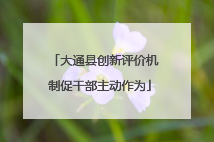大通县创新评价机制促干部主动作为