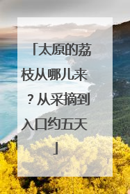 太原的荔枝从哪儿来？从采摘到入口约五天