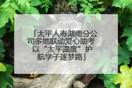 太平人寿湖南分公司多地联动爱心助考 以“太平温度”护航学子逐梦路