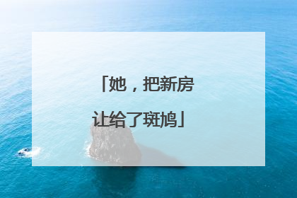 她，把新房让给了斑鸠
