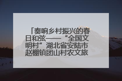 奏响乡村振兴的春日和弦——“全国文明村”湖北省安陆市赵棚镇团山村农文旅融合发展见闻