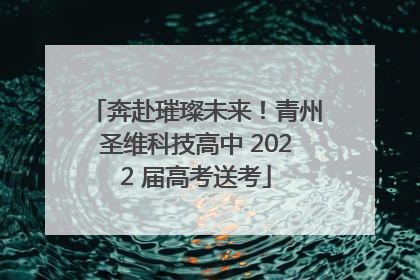 奔赴璀璨未来！青州圣维科技高中 2022 届高考送考