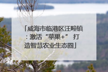 威海市临港区汪疃镇：激活“苹果+” 打造智慧农业生态圈