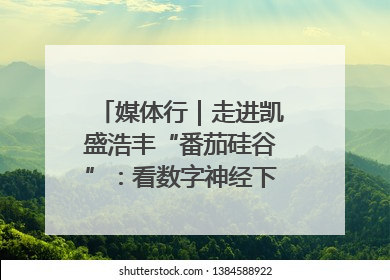 媒体行｜走进凯盛浩丰“番茄硅谷”：看数字神经下的精准农业