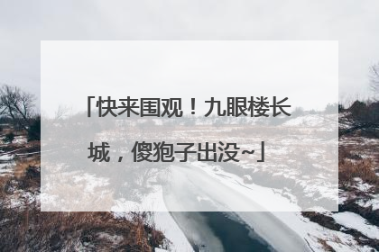 快来围观！九眼楼长城，傻狍子出没~