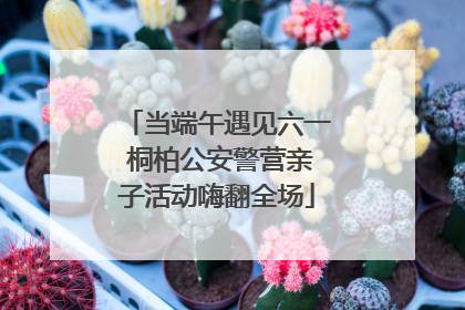 当端午遇见六一 桐柏公安警营亲子活动嗨翻全场