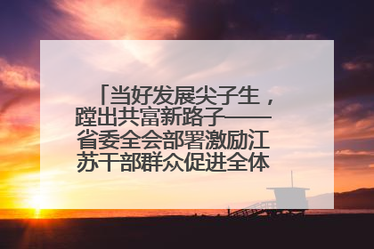 当好发展尖子生，蹚出共富新路子——省委全会部署激励江苏干部群众促进全体人民共同富裕