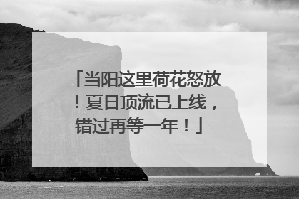 当阳这里荷花怒放！夏日顶流已上线，错过再等一年！