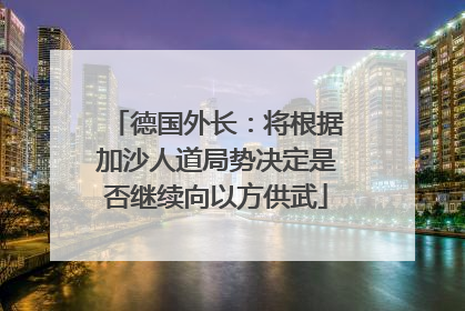 德国外长：将根据加沙人道局势决定是否继续向以方供武