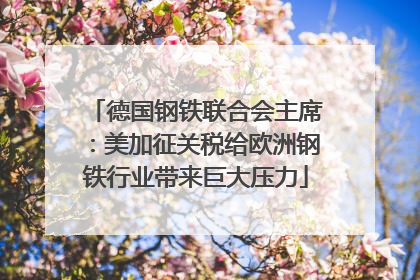 德国钢铁联合会主席：美加征关税给欧洲钢铁行业带来巨大压力