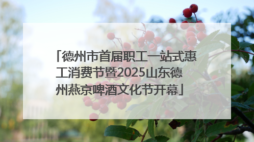 德州市首届职工一站式惠工消费节暨2025山东德州燕京啤酒文化节开幕