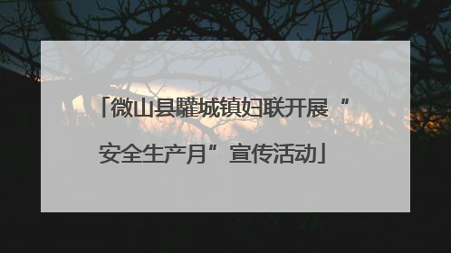 微山县驩城镇妇联开展“安全生产月”宣传活动