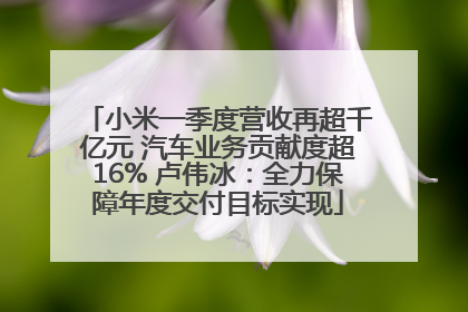 小米一季度营收再超千亿元 汽车业务贡献度超16% 卢伟冰：全力保障年度交付目标实现