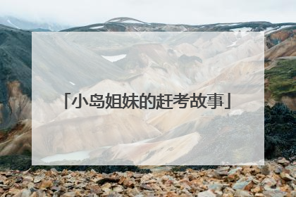 小岛姐妹的赶考故事
