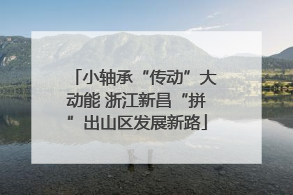 小轴承“传动”大动能 浙江新昌“拼”出山区发展新路