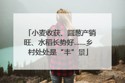 小麦收获、圆葱产销旺、水稻长势好……乡村处处是“丰”景