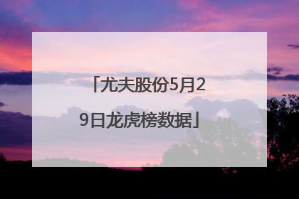 尤夫股份5月29日龙虎榜数据