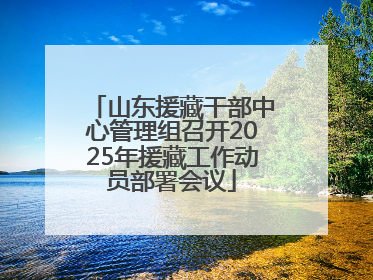 山东援藏干部中心管理组召开2025年援藏工作动员部署会议