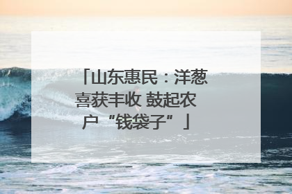 山东惠民：洋葱喜获丰收 鼓起农户“钱袋子”