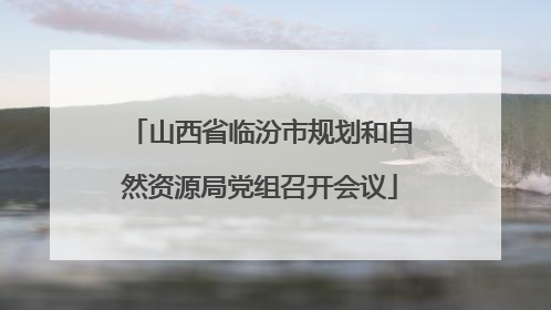 山西省临汾市规划和自然资源局党组召开会议