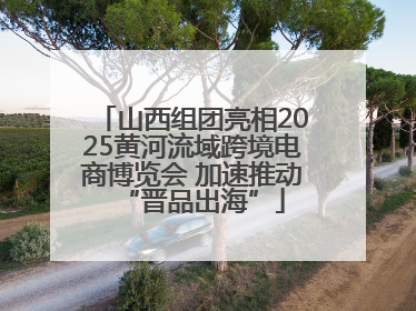 山西组团亮相2025黄河流域跨境电商博览会 加速推动“晋品出海”