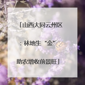山西大同云州区：林地生“金” 助农增收前景旺
