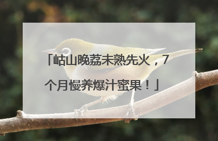 岵山晚荔未熟先火，7个月慢养爆汁蜜果！