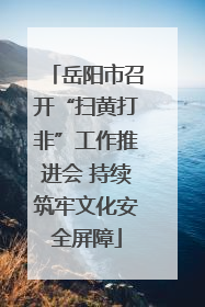 岳阳市召开“扫黄打非”工作推进会 持续筑牢文化安全屏障